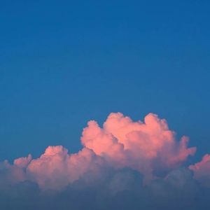 Meet your Posher, Lucia